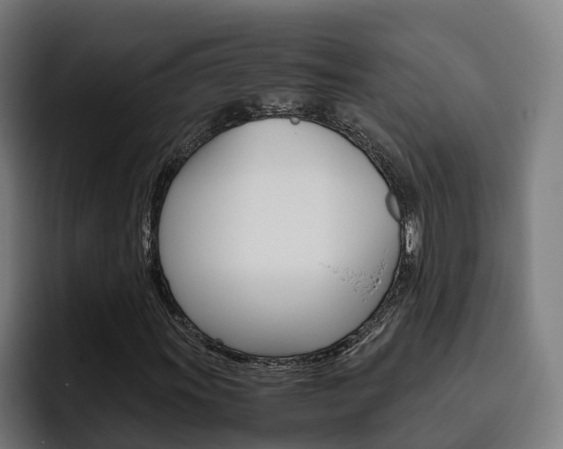 X0000093491011200710121009
