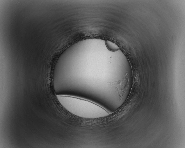 X0000093491012200710121009