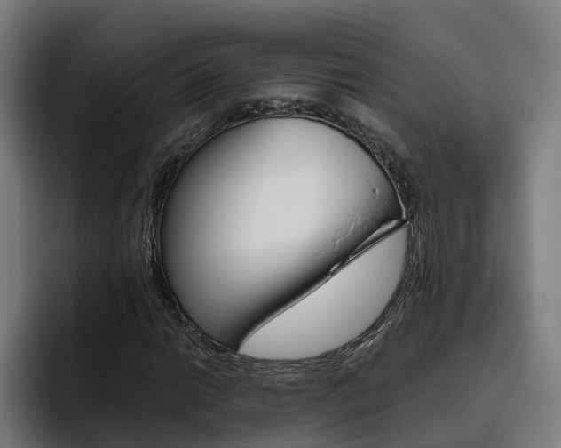 X0000093491014200710121009