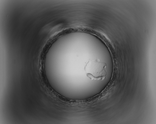 X0000093491016200710121009