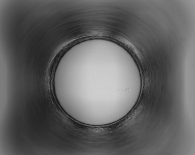 X0000093491019200710121009