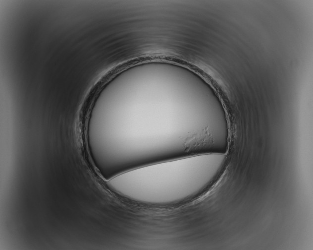 X0000093491022200710121009