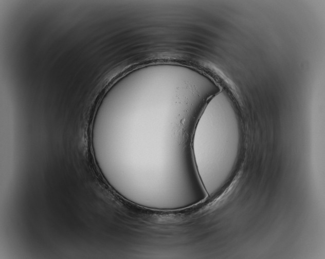 X0000093491025200710121009