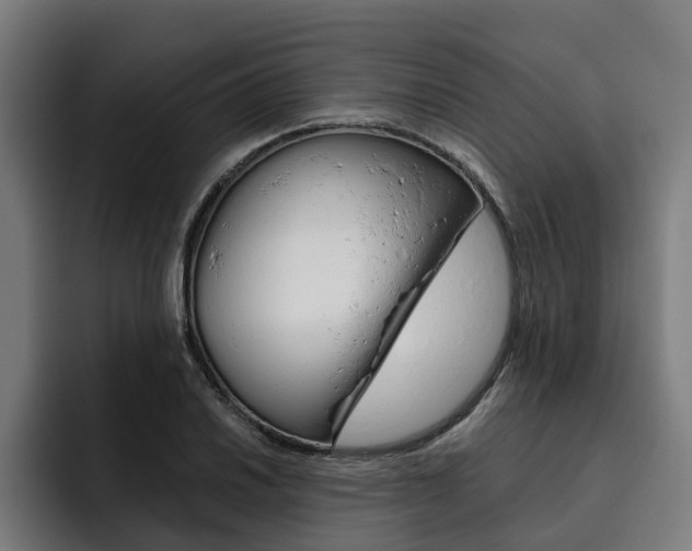 X0000093491030200710121009