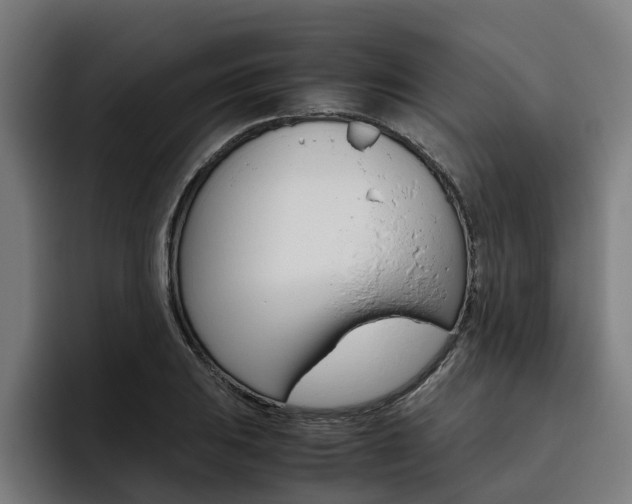 X0000093491031200710121009