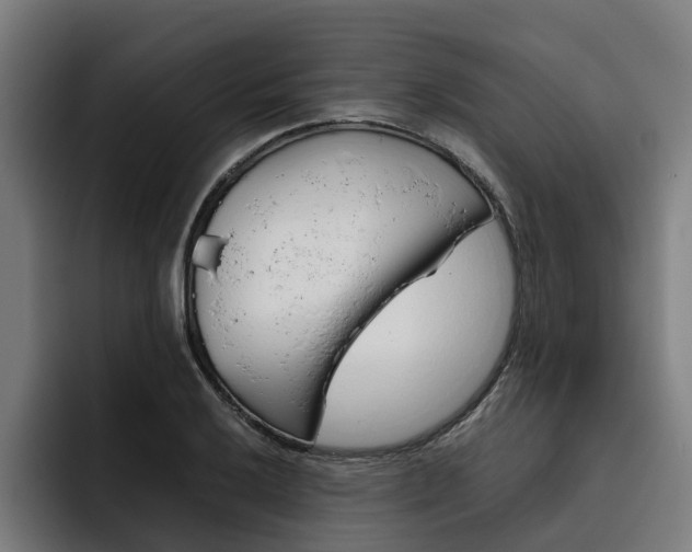 X0000093491032200710121009