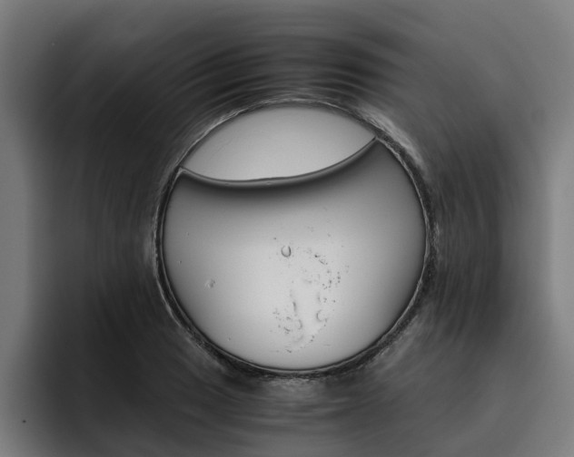 X0000093491033200710121009