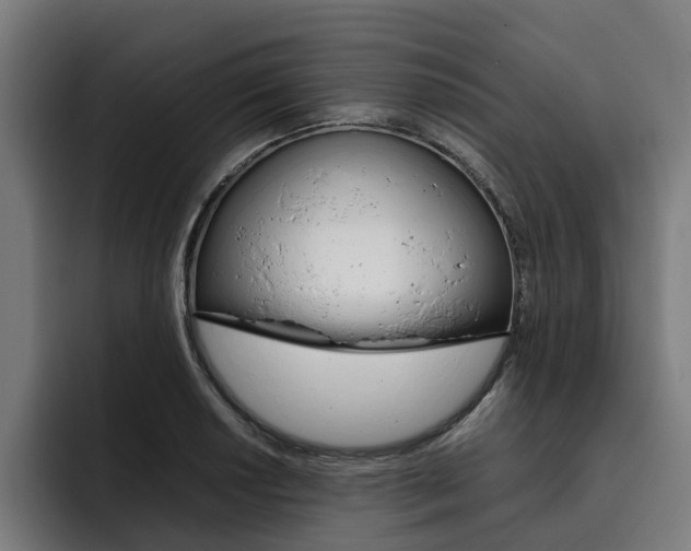 X0000093491034200710121009
