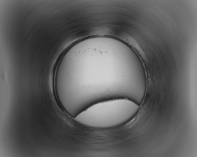 X0000093491035200710121009
