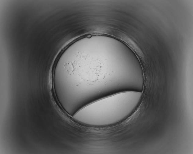 X0000093491036200710121009