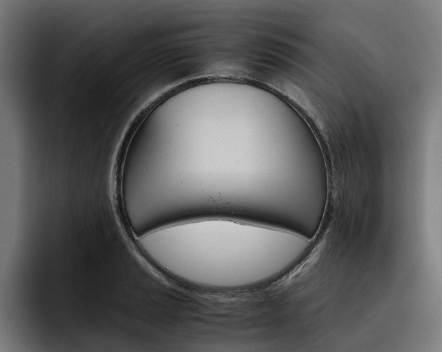 X0000093491037200710121009