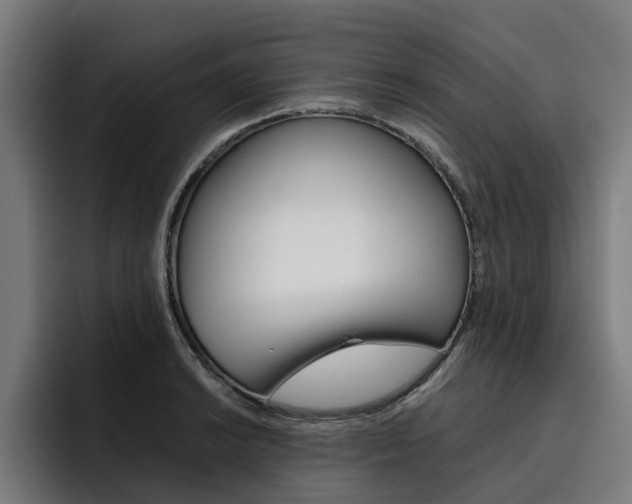X0000093491038200710121009