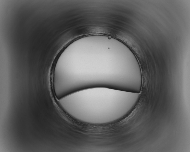 X0000093491039200710121009