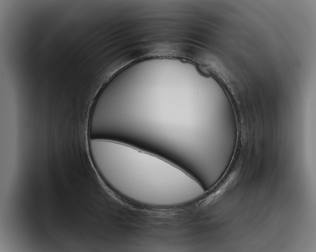 X0000093491041200710121009