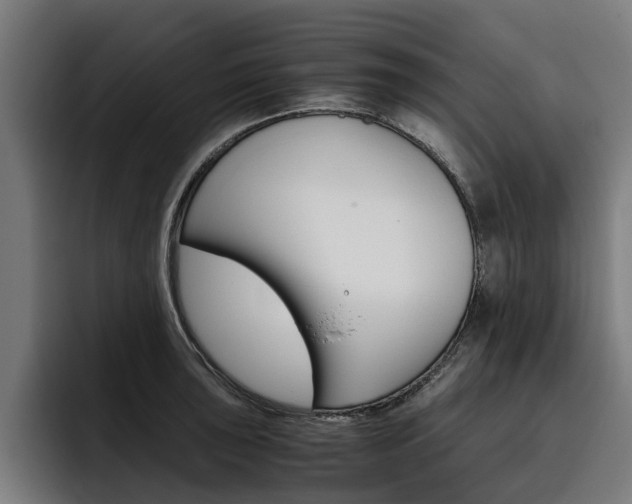 X0000093491043200710121009
