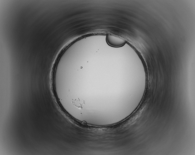 X0000093491045200710121009
