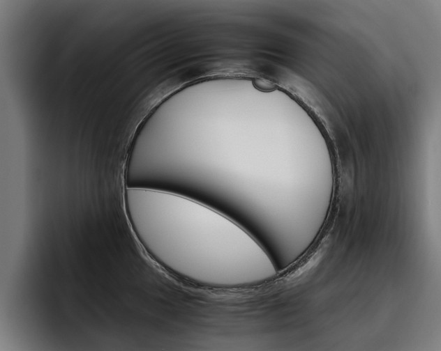 X0000093491049200710121009