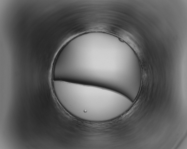 X0000093491052200710121009