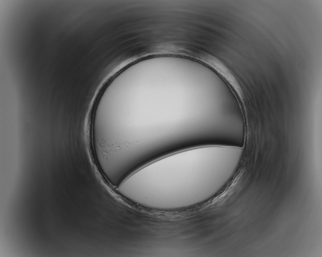 X0000093491053200710121009