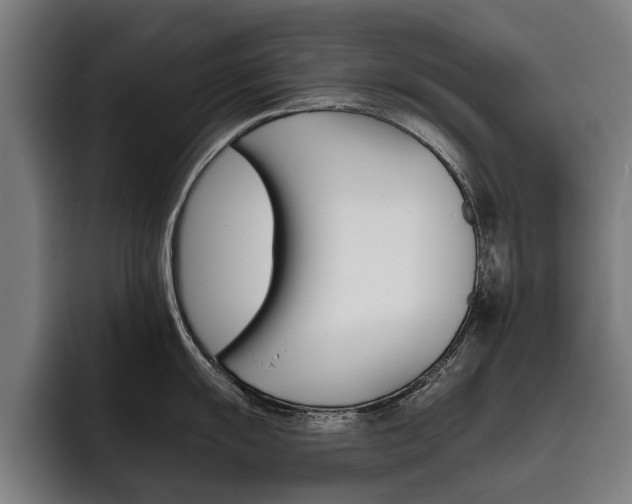 X0000093491055200710121009