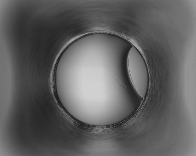 X0000093491056200710121009