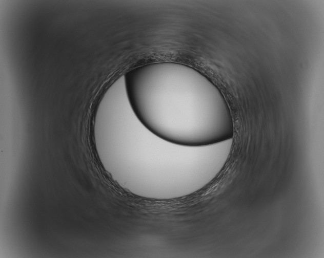 X0000093491057200710121009