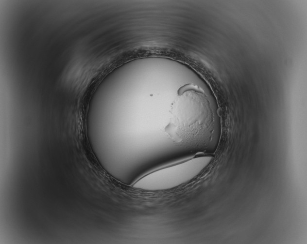 X0000093491062200710121009