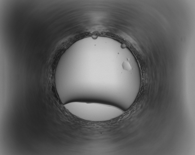 X0000093491063200710121008