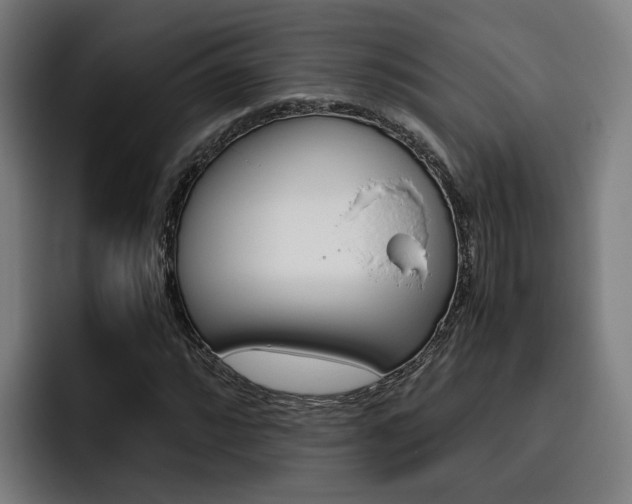 X0000093491064200710121008
