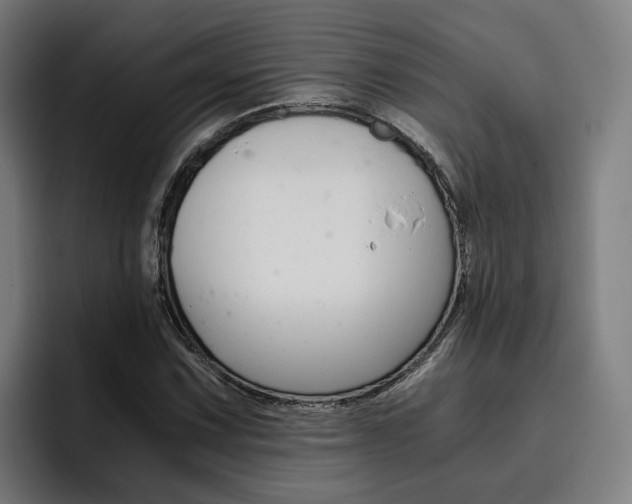 X0000093491067200710121008
