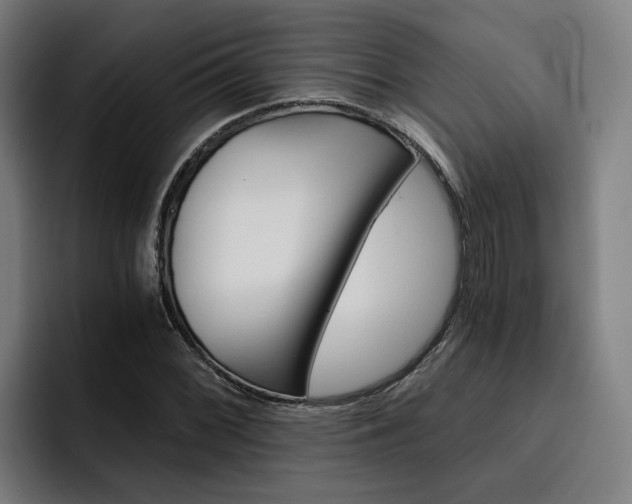 X0000093491068200710121008