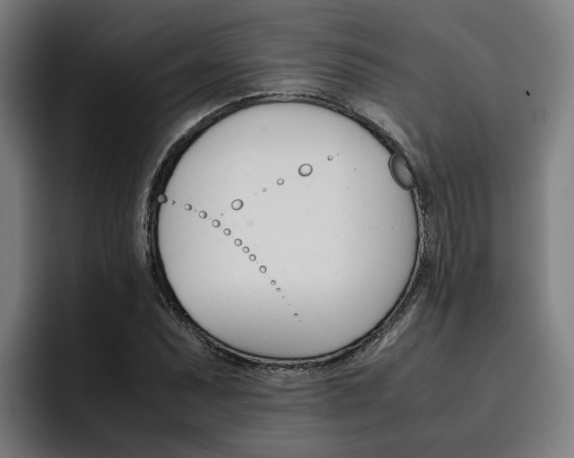 X0000093491071200710121008