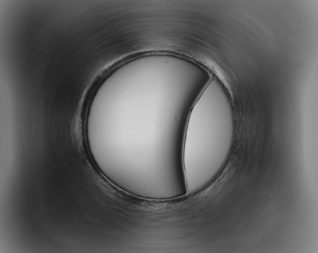 X0000093491072200710121008