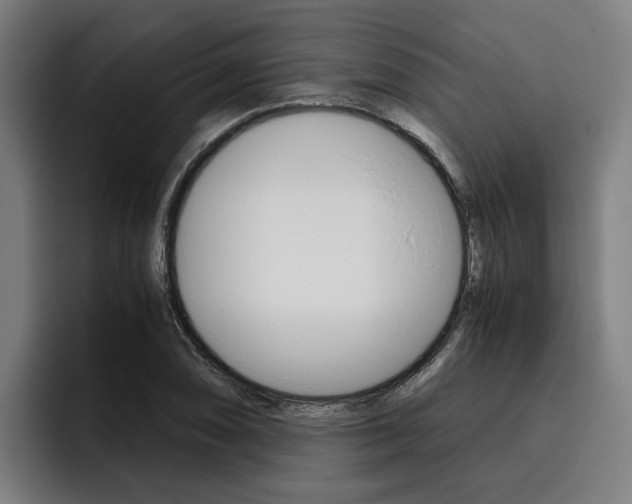 X0000093491074200710121008