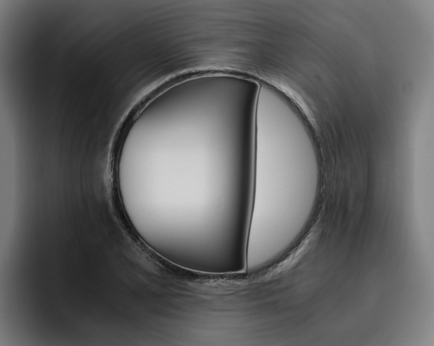 X0000093491077200710121008