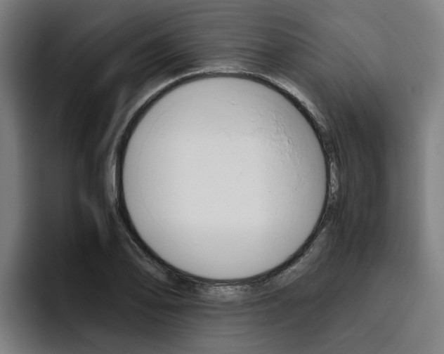 X0000093491078200710121008