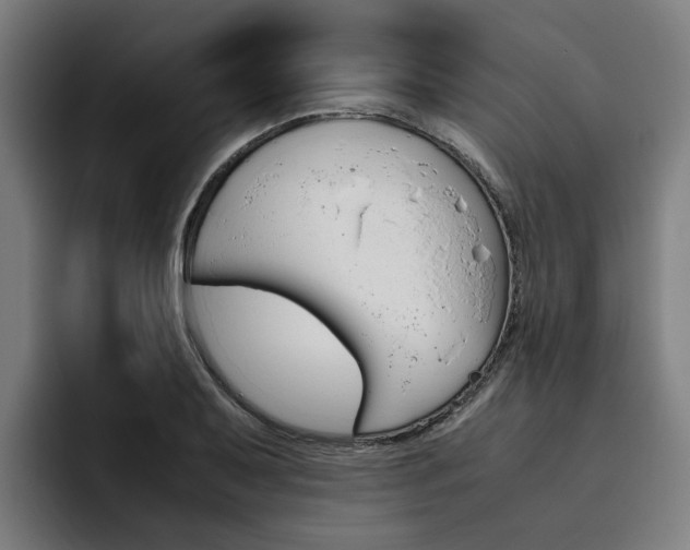 X0000093491079200710121008