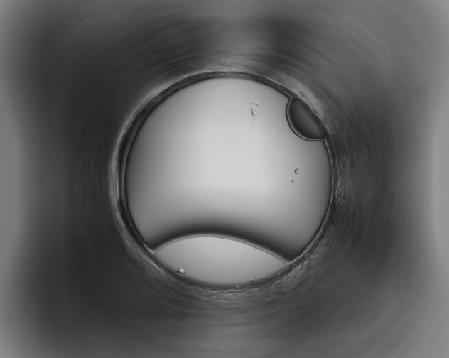 X0000093491080200710121008