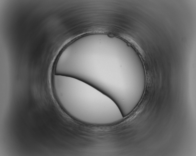 X0000093491083200710121008