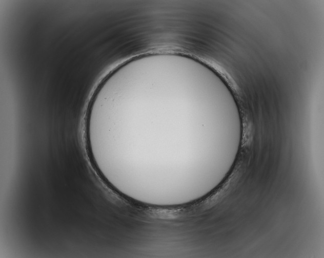 X0000093491086200710121008