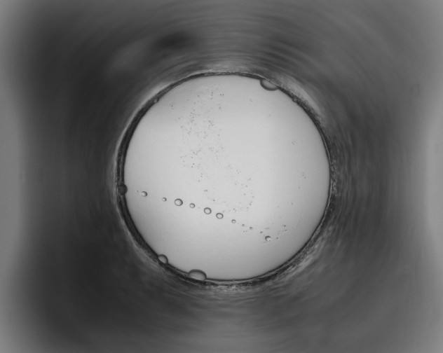 X0000093491087200710121008