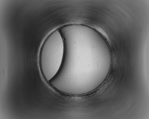 X0000093491088200710121008