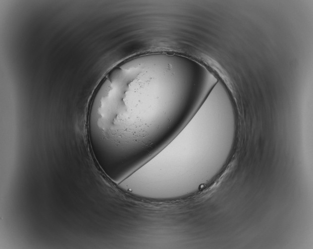 X0000093491089200710121008