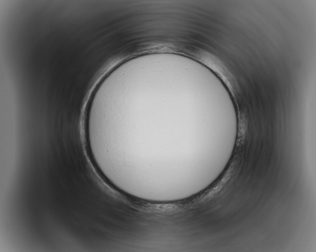 X0000093491090200710121008