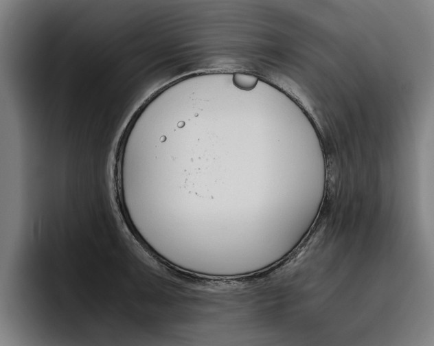 X0000093491091200710121008