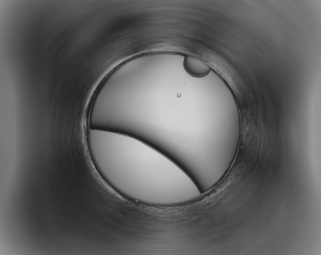 X0000093491092200710121008