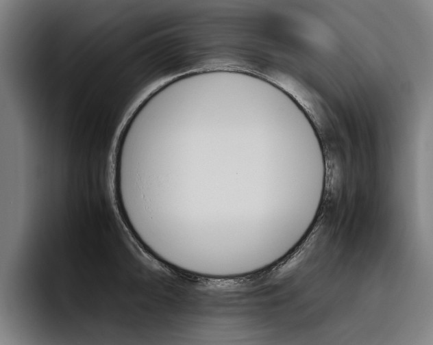 X0000093491094200710121008