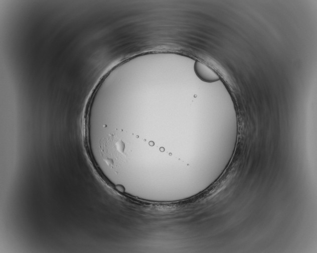 X0000093491095200710121008