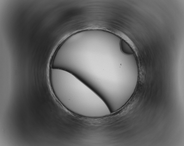 X0000093491096200710121008
