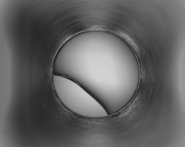 X0000093491097200710121008